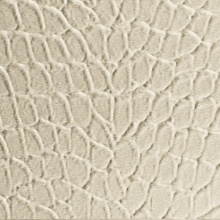 Tortoise Dimension Wall Almond