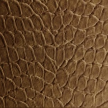 Tortoise Dimension Wall Antique Bronze