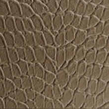 Tortoise Dimension Wall Bronze