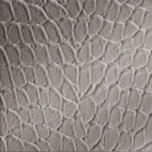 Tortoise Dimension Wall Brushed Nickel