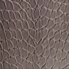 Tortoise Dimension Wall Burnished Brushstroke