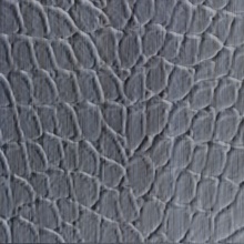 Tortoise Dimension Wall Carbon Brushstroke