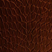 Tortoise Dimension Wall Cherry