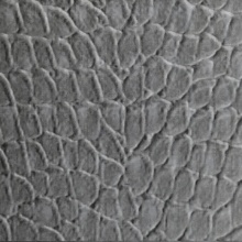 Tortoise Dimension Wall Etched Silver