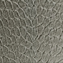 Tortoise Dimension Wall Galvanized