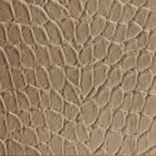 Tortoise Dimension Wall Light Oak