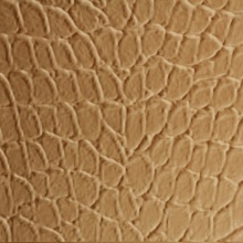 Tortoise Dimension Wall Maple