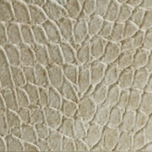 Tortoise Dimension Wall Marble