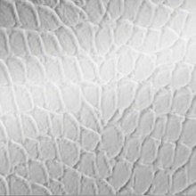 Tortoise Dimension Wall Metallic Silver