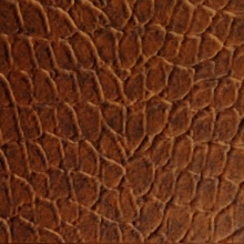 Tortoise Dimension Wall Moonstone Copper