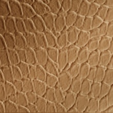 Tortoise Dimension Wall New Penny