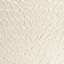 Tortoise Dimension Wall Off White