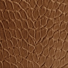 Tortoise Dimension Wall Pearwood