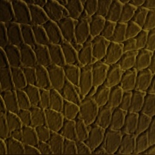 Tortoise Dimension Wall Rubbed Bronze