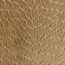 Tortoise Dimension Wall Stained Ash