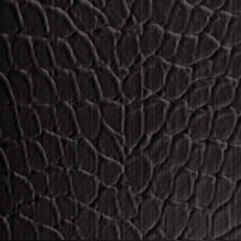 Tortoise Dimension Wall Striated Ebony