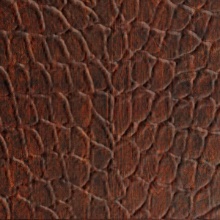 Tortoise Dimension Wall Walnut