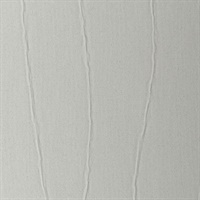 Tracery Silver Surfer