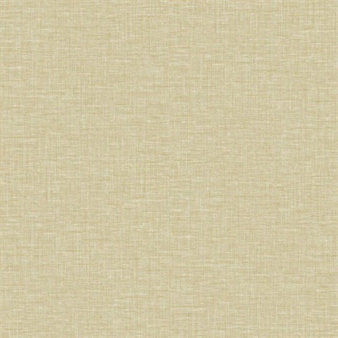 Triad Knit Plain 54 Daisy