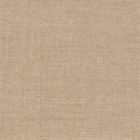 Trielle Texture Khaki Princess