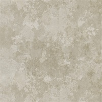 Turn To Stone Chic Cinder