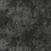 Turn To Stone Elegant Onyx