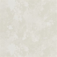 Turn To Stone Perfect Pebble