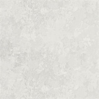 Turn To Stone Quartzite