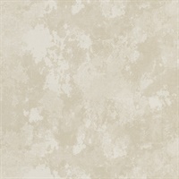 Turn To Stone Sandstone