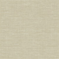 Twill Texture 54 Sand Dune