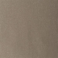 Twinkle Silver Spurs