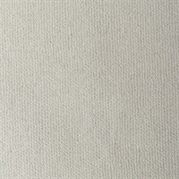 Twinkle Silver Train