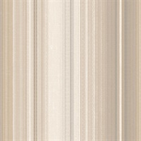 Modern Multicolored Stripe