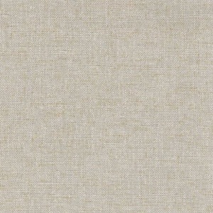 Urbane Galaxy Wall Protection