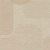 Valley of the Sun Sand Dune