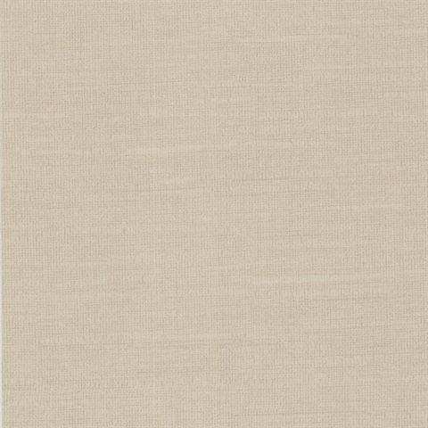 Valley Texture Sand Dune