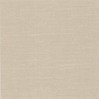 Valley Texture Sand Dune