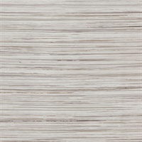 Vantage III Bastia Cathedral Wall Protection