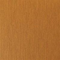 Venn Texture Terracotta Wall Protection