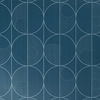 Vicious Circle Denim