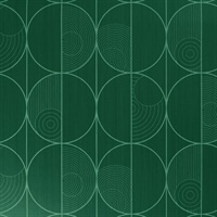 Vicious Circle Denim