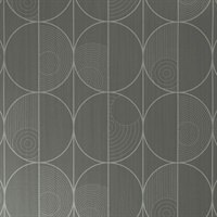 Vicious Circle Denim