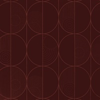 Vicious Circle Denim