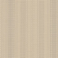 Viewfinder Glided Frame