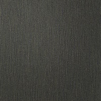 Virtuoso Celine Black Vertical Stria Textured