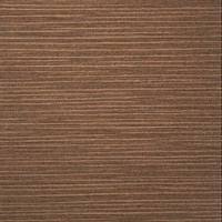 Viva WC Bass Guitar Horizontal Stria