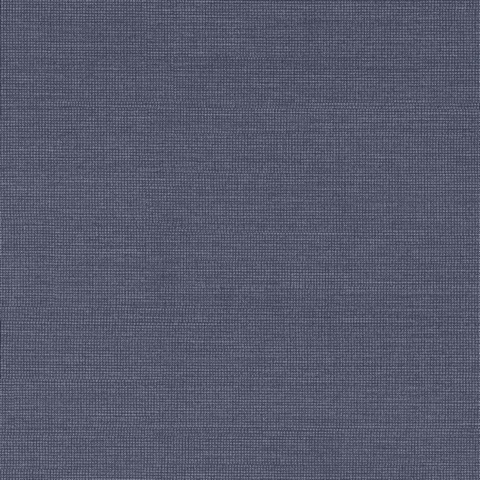 Vivienne Navy Jacket