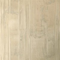 Walthamstow Sandstone