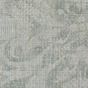 WashedMedallion Hemisphere