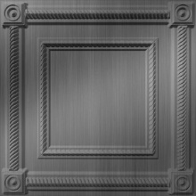 Washington Ceiling Brushed Stainless